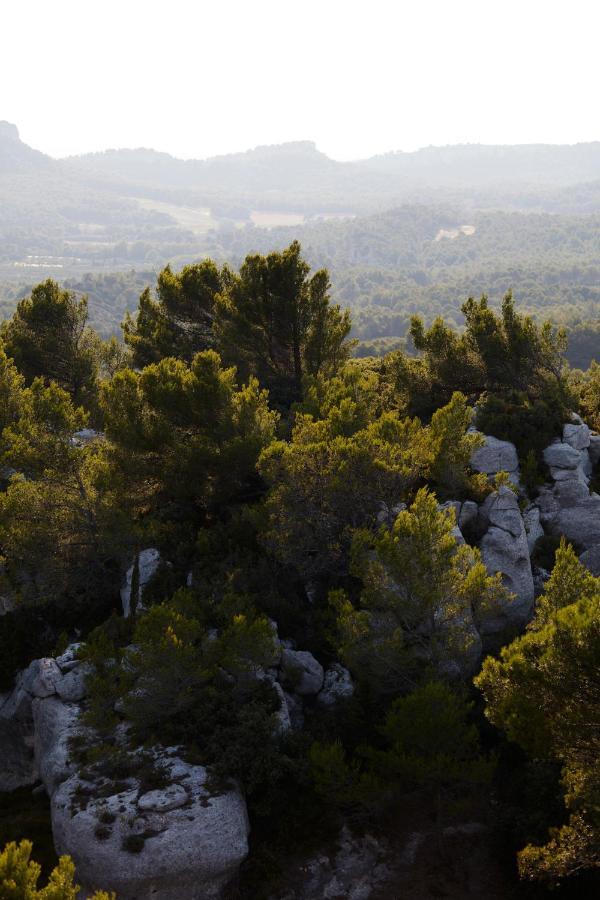 Le Mas Angelou Maussane-les-Alpilles Zewnętrze zdjęcie