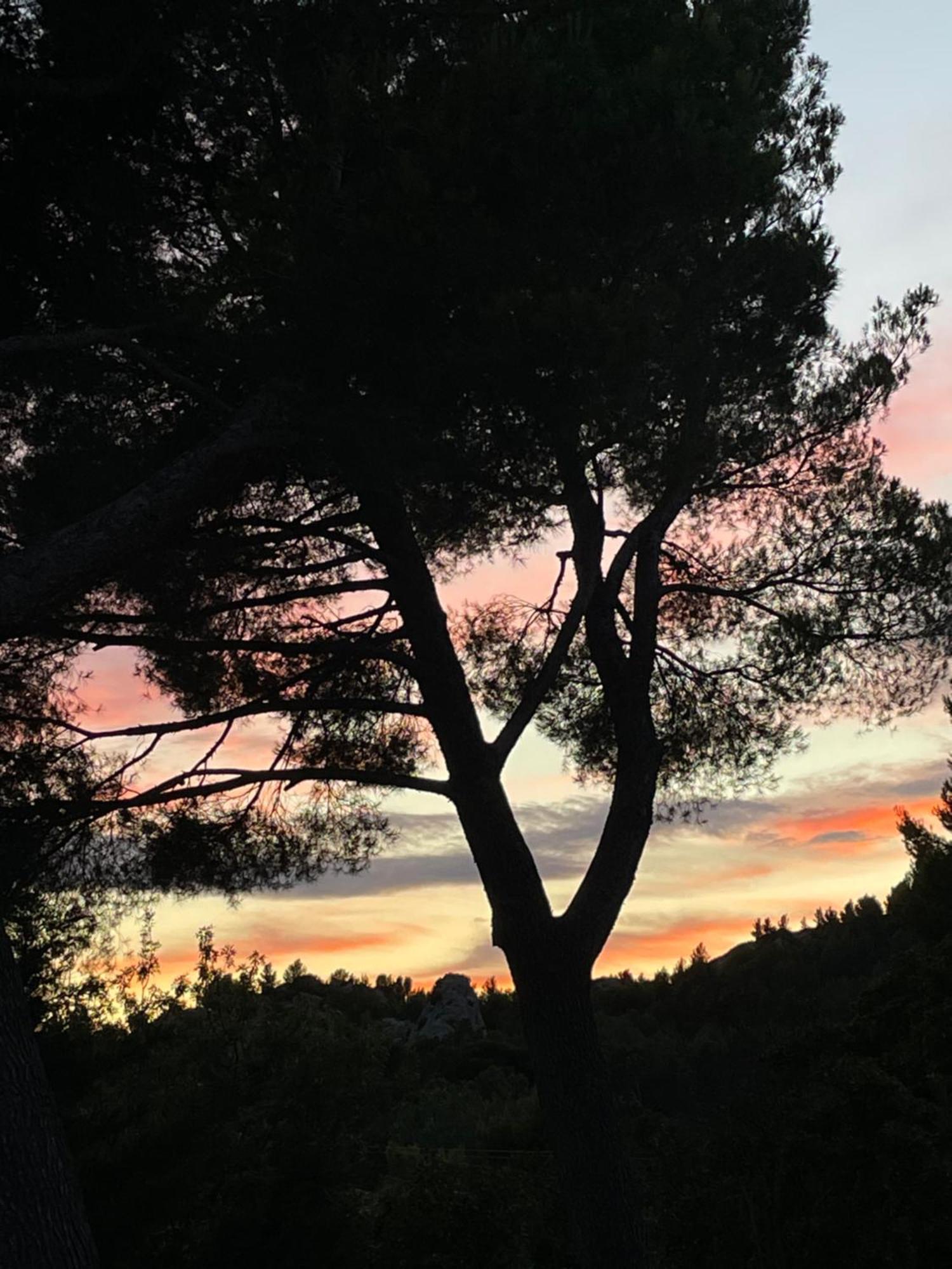 Le Mas Angelou Maussane-les-Alpilles Zewnętrze zdjęcie